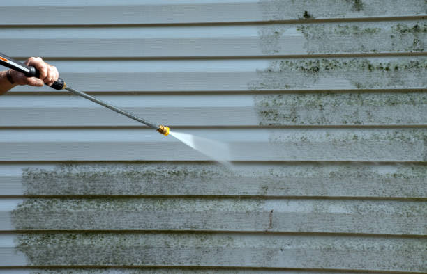 Best Driveway Pressure Washing  in Agua Dulce, CA